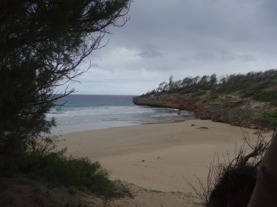 the beach where we ate lunch