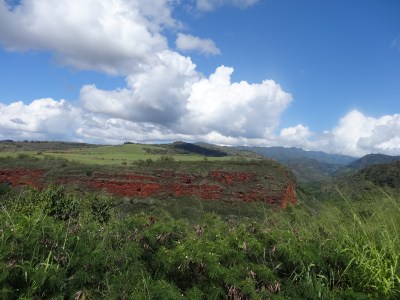 there is red dirt everywhere here