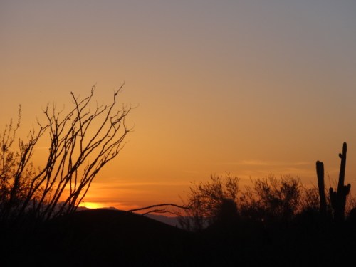 one of the beautiful desert sunsets we've seen