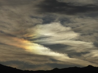 I tried to take a close-up