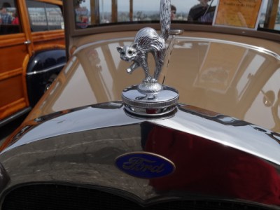 and this hood ornament