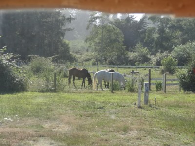 we could see them from the coach