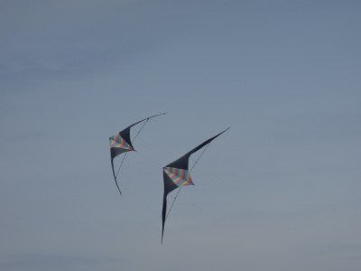 one of the neater kites