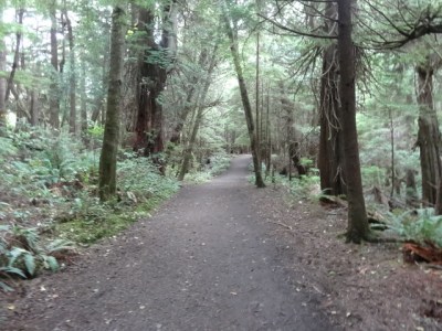 we first think this path is very nice