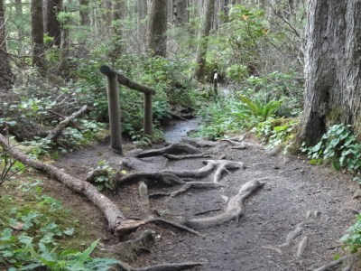 we're getting our workout today