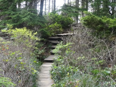 we have to climb to go down?