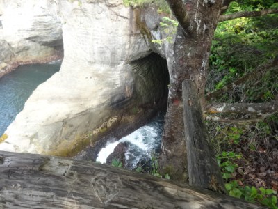 they used the tree for a brace and there's a heart