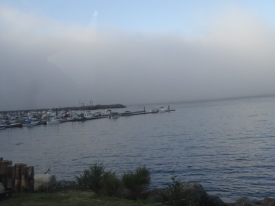 boats kept going out