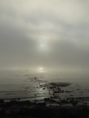 I thought maybe it's the moon and sun