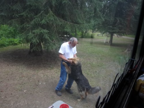 jerry always finds a dog