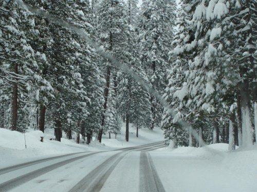 #23-2010 way to reno 142